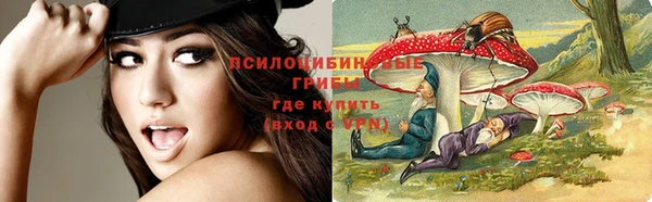 твердый Липки