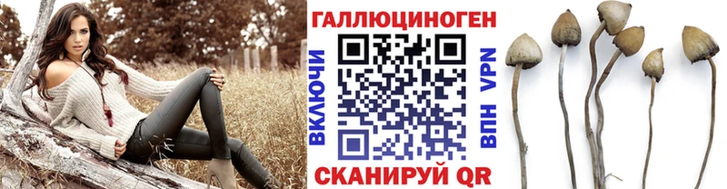 Купить закладки Инта Псилоцибиновые грибы GOLDEN TEACHER
